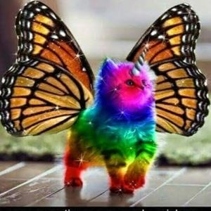 Meet your Posher, Kelli